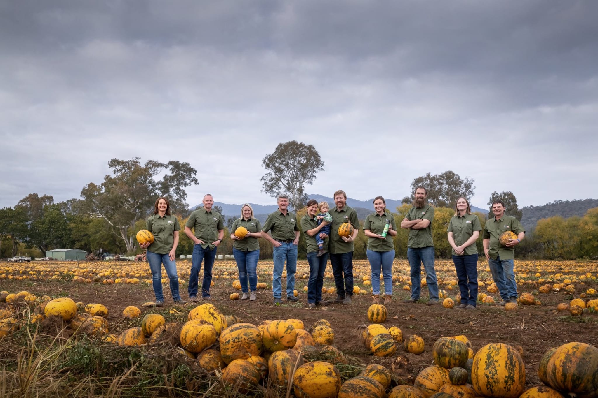 Pepo Farms is Australia’s sole pumpkin seed producer